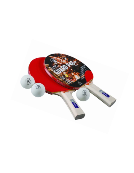Pingpongbatset B2 Star 2 batjes + 3 ABS-ballen. Aanbiedingen voor pingpongbatjes.