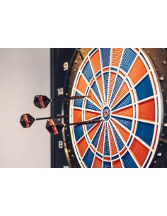 Bersaglio KARELLA MASTER con supporto. Alta gamma per... 2