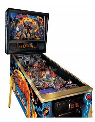 PINBALL MEDIEVAL MADNESS DE CHICAGO GAMING...